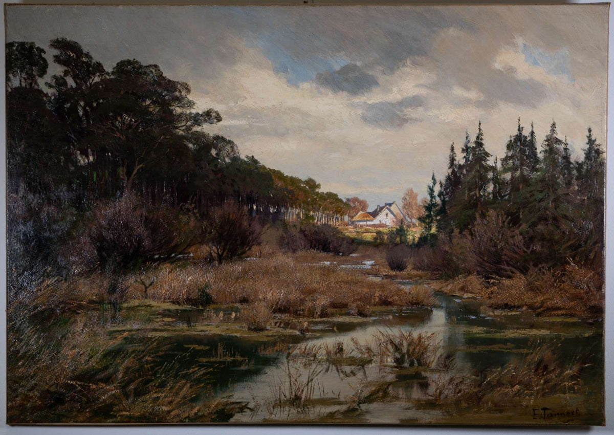 Sumpfgebiet mit entferntem Haus — Ernst Tannert, Gesamtansicht