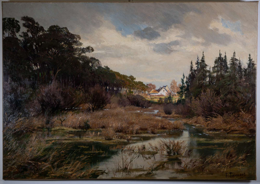 Sumpfgebiet mit entferntem Haus — Ernst Tannert, Gesamtansicht