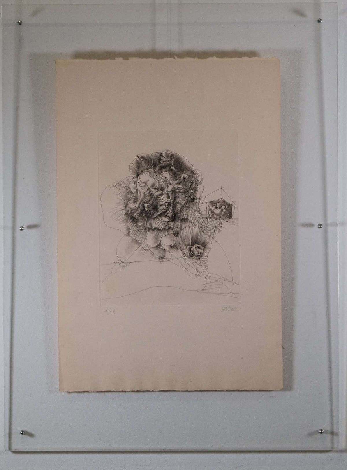 Tête à la rose — Hans Bellmer, Gesamtansicht