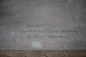 Schwarzwald — Paul Schwerdtner, Ansicht 5