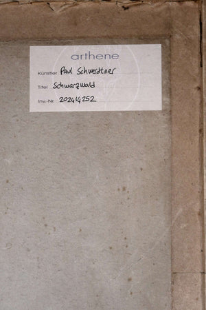 Schwarzwald — Paul Schwerdtner, Ansicht 6