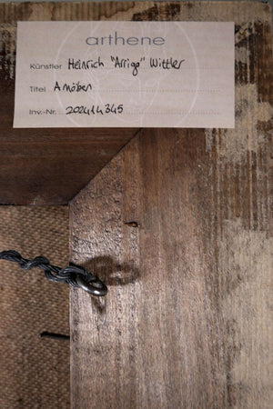 Amöben — Heinrich Arrigo Wittler, Ansicht 7
