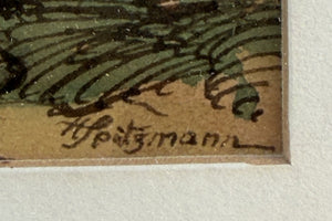 Bäume auf Felsen und Bergen – Johannes Hans Spitzmann (Ansicht 2)